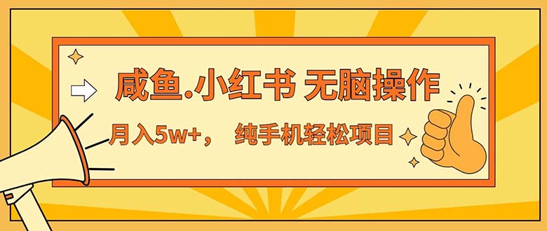 （11524期）2024最赚钱的项目，咸鱼，小红书无脑操作，每单利润500+，轻松月入5万+…-网创资源站