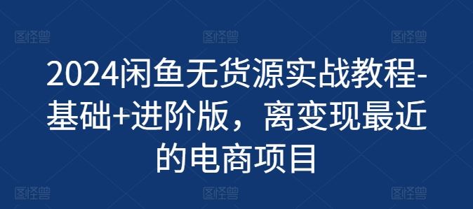 2024闲鱼无货源实战教程-基础+进阶版，离变现最近的电商项目-网创资源站