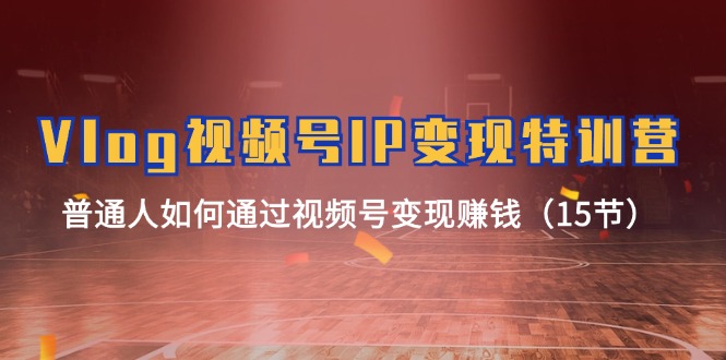 （11654期）Vlog 视频号IP变现特训营，普通人如何通过视频号变现赚钱（15节）-网创资源站
