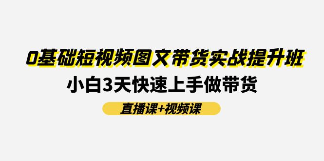0基础短视频图文带货实战提升班，小白3天快速上手做带货(直播课+视频课)-网创资源站