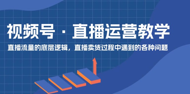 （11687期）视频号 直播运营教学：直播流量的底层逻辑，直播卖货过程中遇到的各种问题-网创资源站