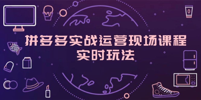 （11759期）拼多多实战运营现场课程，实时玩法，爆款打造，选品、规则解析-网创资源站