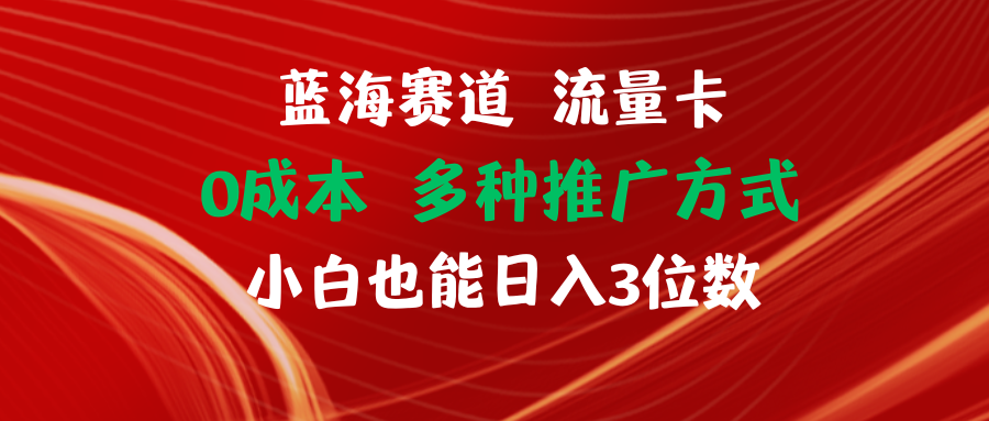 （11768期）蓝海赛道 流量卡 0成本 小白也能日入三位数-网创资源站