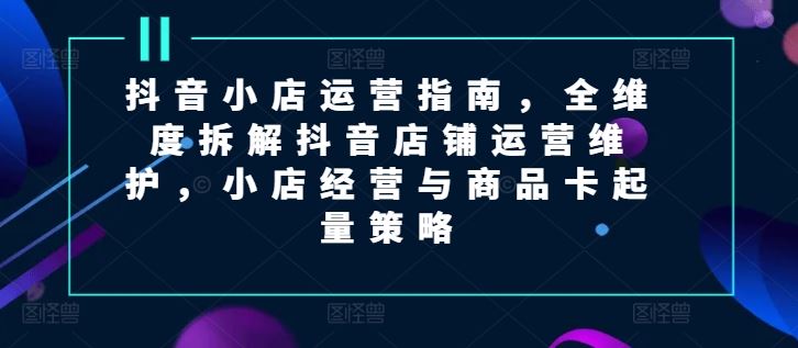 抖音小店运营指南，全维度拆解抖音店铺运营维护，小店经营与商品卡起量策略-网创资源站