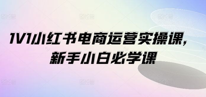 1V1小红书电商运营实操课，新手小白必学课-网创资源站