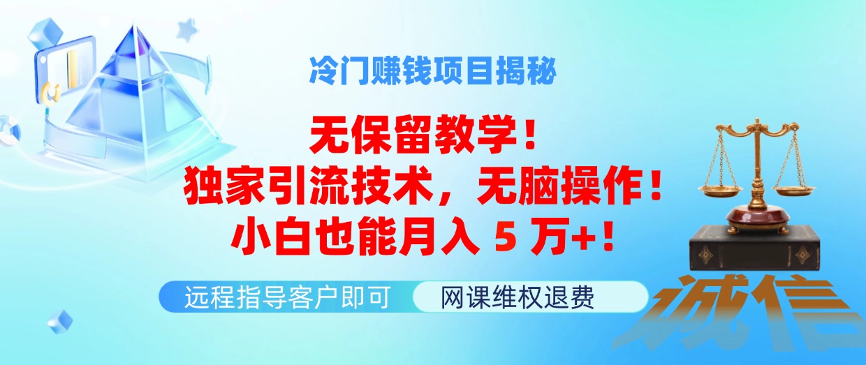 （11864期）冷门赚钱项目无保留教学！独家引流技术，无脑操作！小白也能月入5万+！-网创资源站