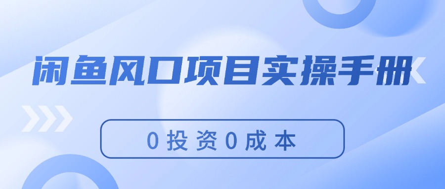 （11923期）闲鱼风口项目实操手册，0投资0成本，让你做到，月入过万，新手可做-网创资源站