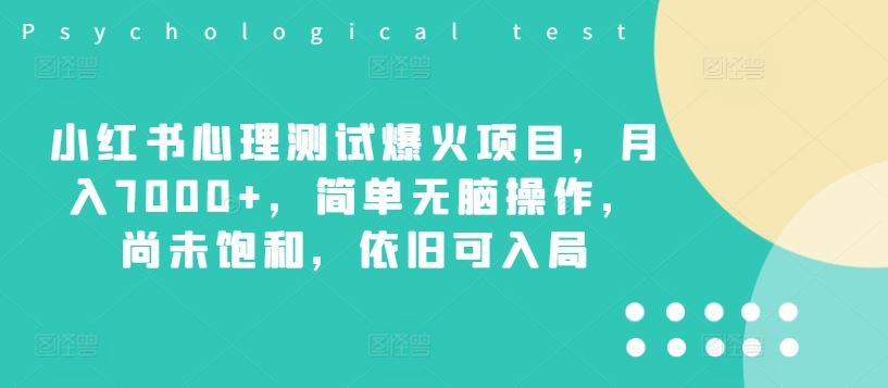 小红书心理测试爆火项目，月入7000+，简单无脑操作，尚未饱和，依旧可入局-网创资源站