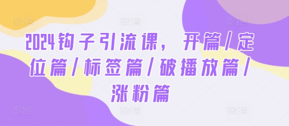 2024钩子引流课，开篇/定位篇/标签篇/破播放篇/涨粉篇-网创资源站