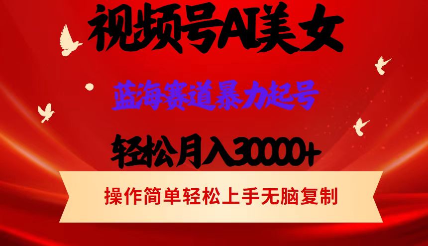 （12178期）视频号AI美女跳舞，轻松月入30000+，蓝海赛道，流量池巨大，起号猛，当…-网创资源站