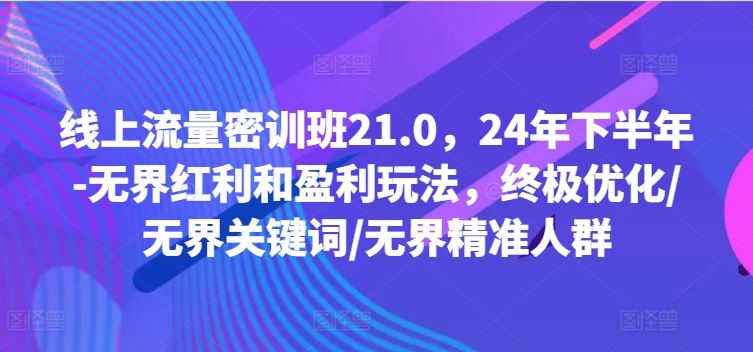 线上流量密训班21.0，24年下半年-无界红利和盈利玩法，终极优化/无界关键词/无界精准人群-网创资源站