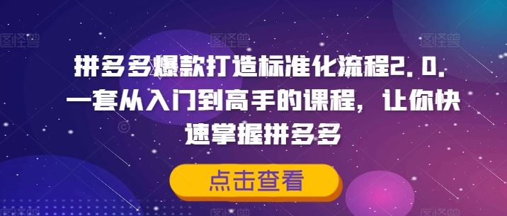 拼多多爆款打造标准化流程2.0，一套从入门到高手的课程，让你快速掌握拼多多-网创资源站
