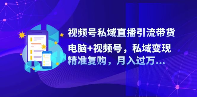 （12249期）视频号私域直播引流带货：电脑+视频号，私域变现，精准复购，月入过万…-网创资源站