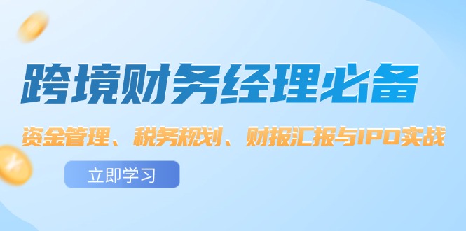 （12323期）跨境 财务经理必备：资金管理、税务规划、财报汇报与IPO实战-网创资源站