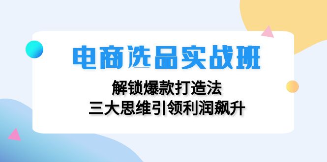 （12398期）电商选品实战班：解锁爆款打造法，三大思维引领利润飙升-网创资源站