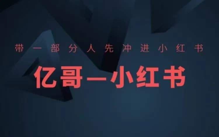 ​​带一部分人先冲进小红书，小红书开店、选品、爆款裂变-网创资源站