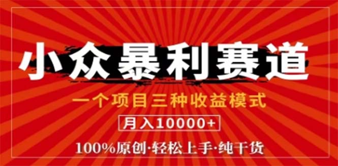 视频号最新爆火赛道，三种可收益模式，0粉新号条条原创条条热门 日入1000+-网创资源站