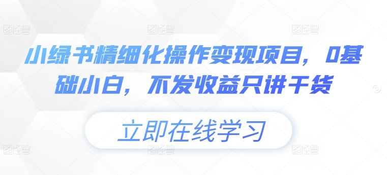 小绿书精细化操作变现项目，0基础小白，不发收益只讲干货-网创资源站