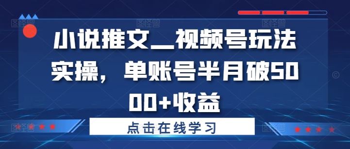小说推文—视频号玩法实操，单账号半月破5000+收益-网创资源站