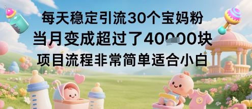 每天稳定引流30个宝妈粉当月变成超过了1W+项目流程非常简单适合小白-网创资源站