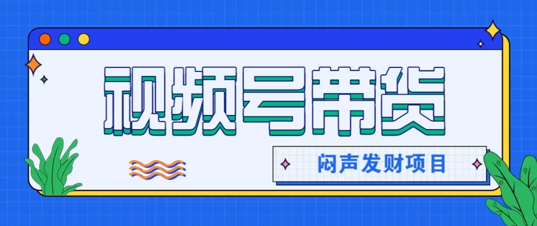 微信视频号带货项目，轻松日赚赚2000+，这个挣钱入口很多伙伴都在闷声发财-网创资源站