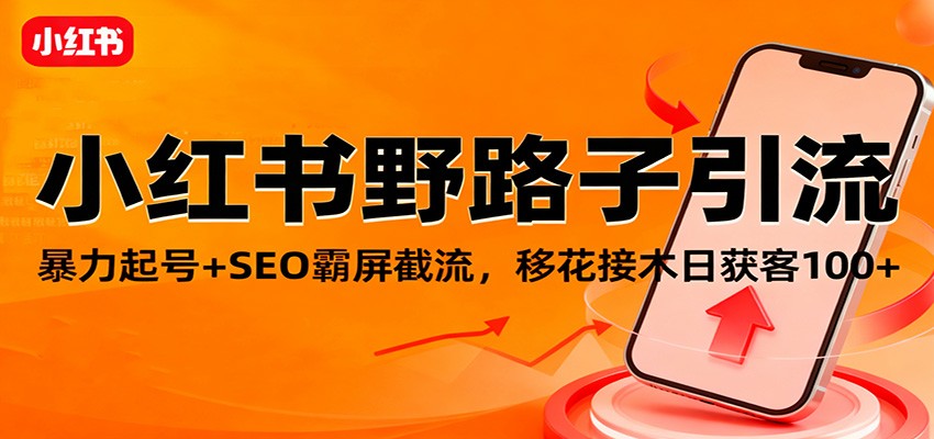 小红书野路子引流，暴力起号+SEO霸屏截流，移花接木日获客100+-网创资源站