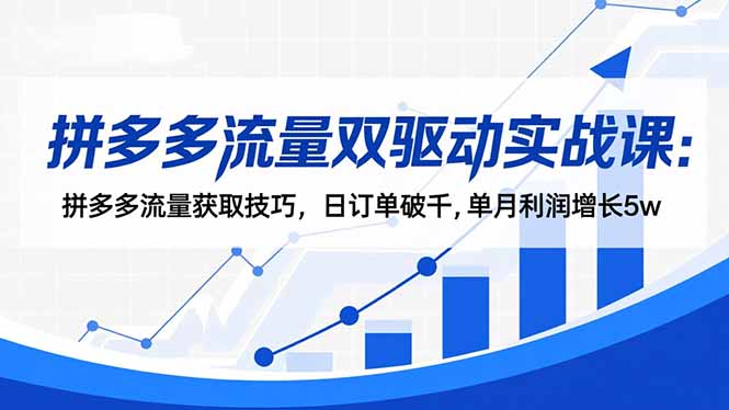 拼多多流量双驱动实战课：拼多多流量获取技巧，日订单破千,单月利润增长5w-网创资源站