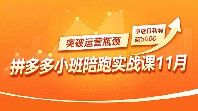 拼多多小班陪跑实战课11月，强付费矩阵、原价活动、暗券引流，突破运营瓶颈，单店日利润破5000-网创资源站