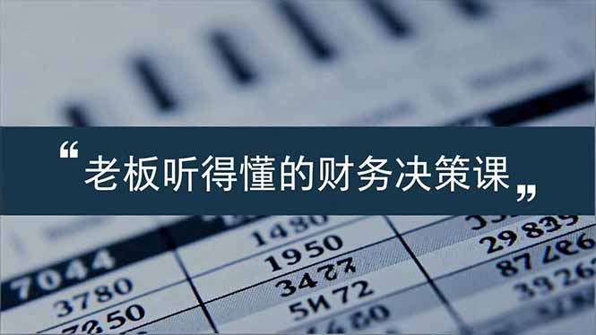 老板能听得懂的财务决策课，报表解读、数据洞察、风险识别，用财务驱动业务增长-网创资源站