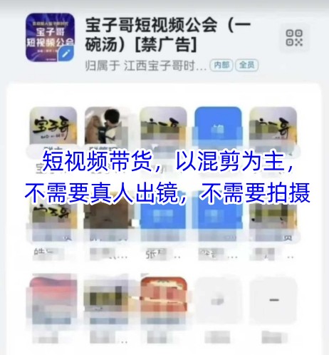 宝子哥头部团队短视频带货，以混剪为主，不需要真人出镜，不需要拍摄【更新11月】-网创资源站