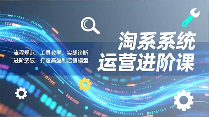 淘系系统运营进阶课2.0，流程规范、工具教学、实战诊断，进阶突破，打造高盈利店铺模型-网创资源站