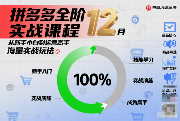 拼多多全阶实战课程12月，从新手小白到运营高手，海量实战玩法-网创资源站
