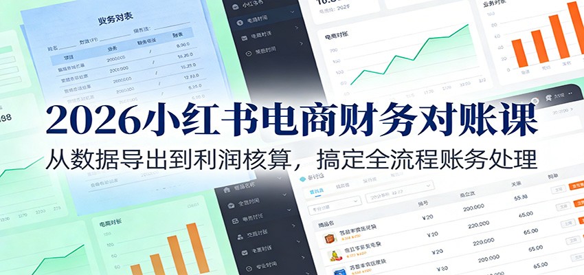 2026小红书电商财务对账课：从数据导出到利润核算，搞定全流程账务处理-网创资源站