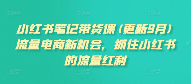 小红书笔记带货课，流量电商新机会，抓住小红书的流量红利(更新26年2月)-网创资源站