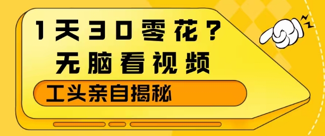 1天30零花？无脑看视频，大佬亲自揭秘-网创资源站