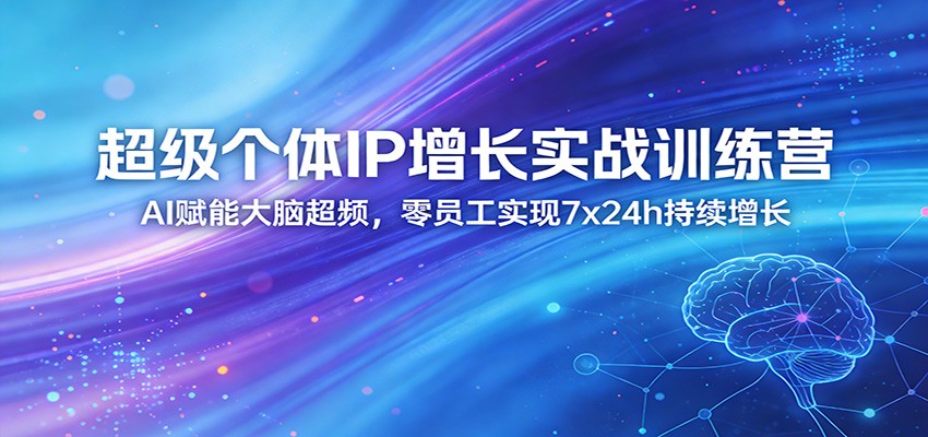 超级个体IP增长实战训练营：AI赋能大脑超频，零员工实现7x24h持续增长(更新)-网创资源站
