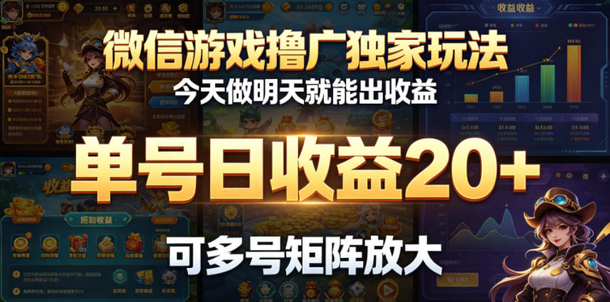 微信游戏撸广独家玩法，今天做明天就能出收益，单号日收益20+，可多号矩阵放大-网创资源站