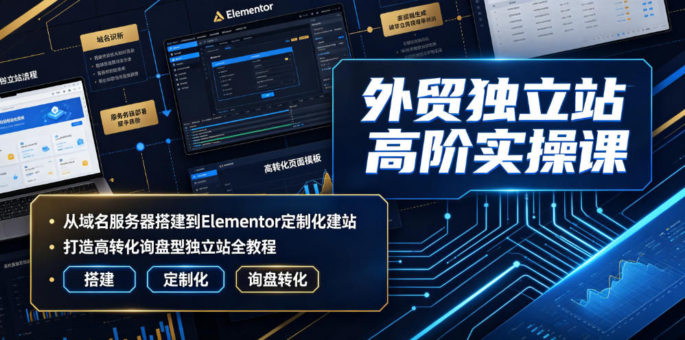 外贸独立站高阶实操课｜从域名服务器搭建到Elementor定制化建站，打造高转化询盘型独立站全教程-网创资源站