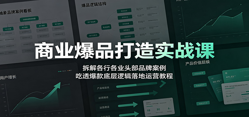 商业爆品打造实战课：拆解各行各业头部品牌案例，吃透爆款底层逻辑落地运营教程-网创资源站