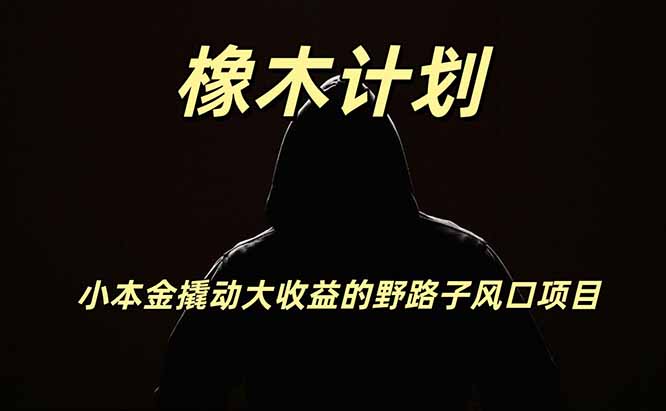 橡木计划，小投入撬动高回报的风口野路子项目，一天投入2小时左右-网创资源站