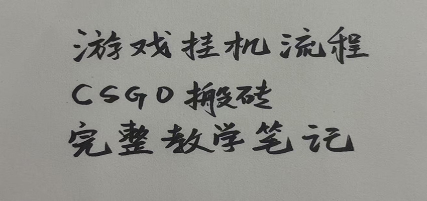 游戏挂机全流程笔记分享，CSGO游戏搬砖，小白看了当天学会见收益-网创资源站