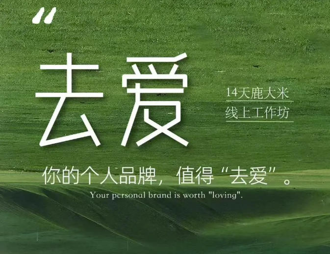去爱14天鹿大米线上工作坊，你的个人品牌，值得“去爱”-网创资源站
