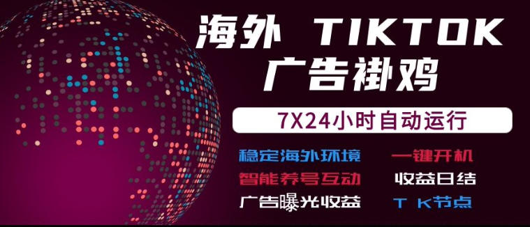 海外TikTok挂G流量变现，7X24自动运行，广告曝光收益，收益日结【揭秘】-网创资源站