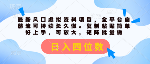 （11509期）最新风口虚拟资料项目，全平台自然流可持续长久做。复制粘贴 日入四位数-网创资源站