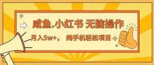 （11524期）2024最赚钱的项目，咸鱼，小红书无脑操作，每单利润500+，轻松月入5万+…-网创资源站