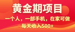 （11527期）黄金期项目，电商搞钱！一个人，一部手机，在家可做，每天收入500+-网创资源站