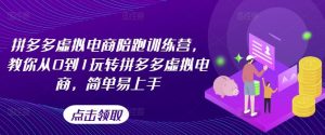 拼多多虚拟电商陪跑训练营，教你从0到1玩转拼多多虚拟电商，简单易上手-网创资源站