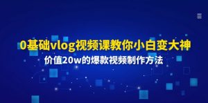 0基础vlog视频课教你小白变大神：价值20w的爆款视频制作方法-网创资源站