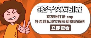 （11548期）某收费888-S搭子交友引流，交友粉打法 sop，导流到私域实现长期稳定盈利-网创资源站