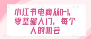 小红书电商从0-1，零基础入门，每个人的机会-网创资源站